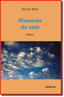 CVBlessuresduvent