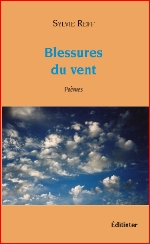 CVBlessuresduvent